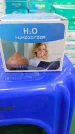 H20 LEAF HUMIDIFIER (Random Color) - Image 5