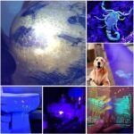 Portable Small Jade Jewelry Gemstone Currency Notes Identification Led Flashlight | Gemstone Detector Torch with Display (Random color) - Image 4