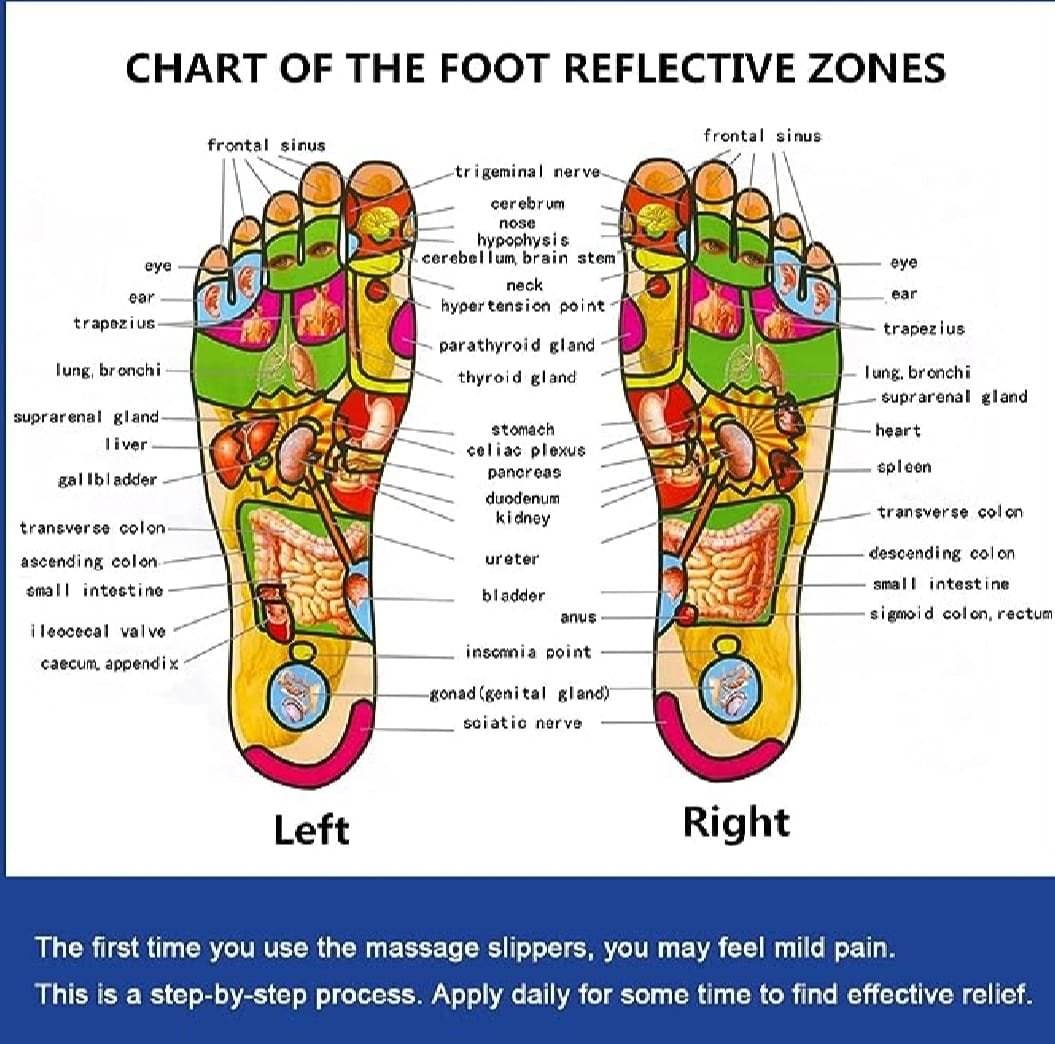 WhatsApp-Image-2025-05-08-at-12.10.24-PM-1.jpeg Blueidea Acupressure Massage Slippers for Sugar Patients – Foot Therapy Reflexology Sandals with Acupuncture Points & Non-Slip Sole - Image 1